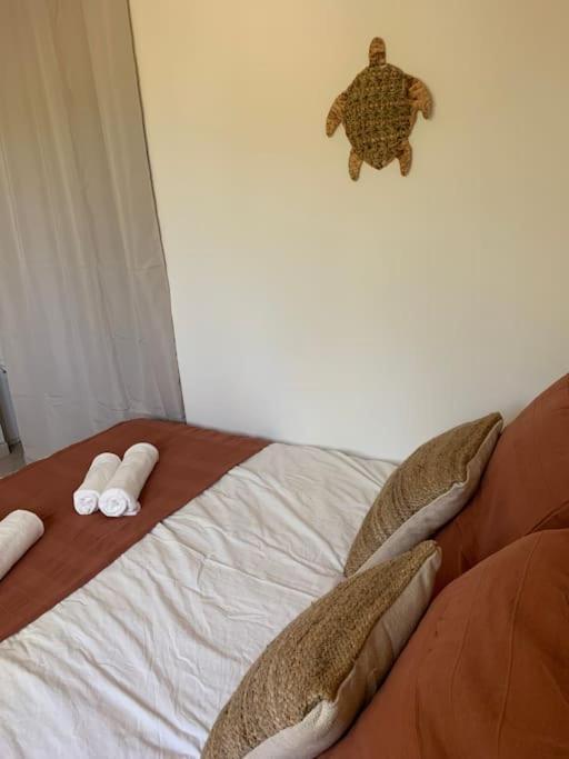 Apartment Maison Au Coeur Du Pic Saint Loup